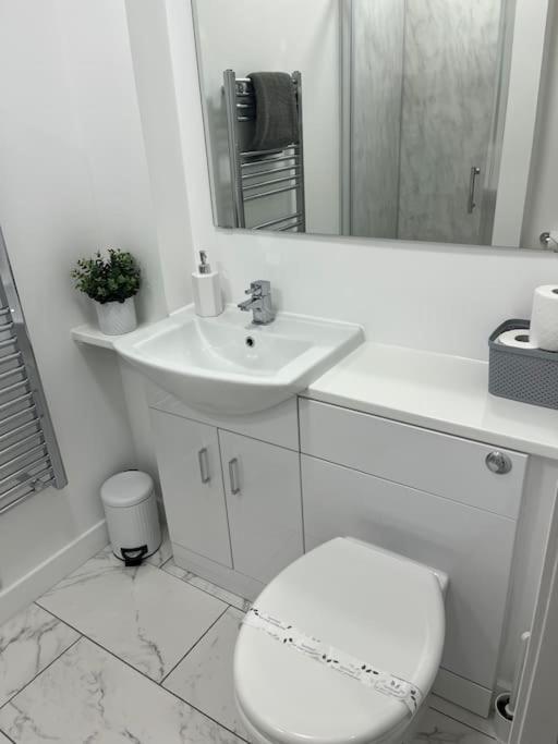 Glenbervie - Beautifully Refurbished, Self-Contained Apartment ダンファームリン エクステリア 写真