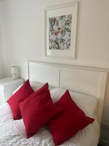 Glenbervie - Beautifully Refurbished, Self-Contained Apartment ダンファームリン エクステリア 写真